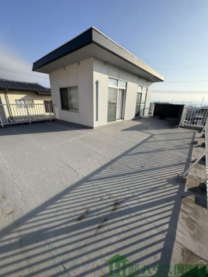 ���̑��@�G���g�����X