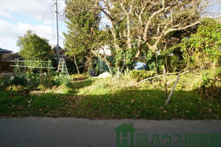 ���n�y�n�ʐ^�@-