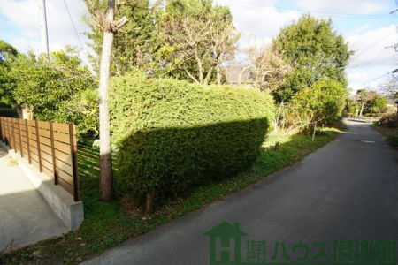 ���n�y�n�ʐ^�@-