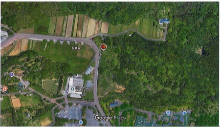 ���̑��@���]