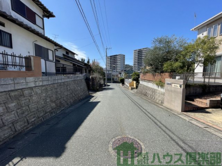 ���n�y�n�ʐ^�@-