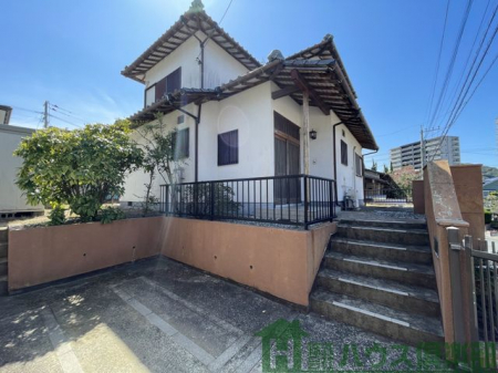 ���n�y�n�ʐ^�@-