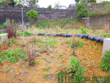 ���n�y�n�ʐ^�@-