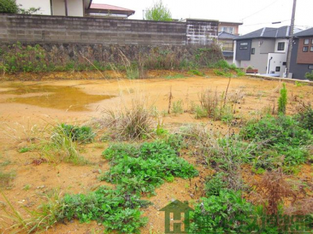 ���n�y�n�ʐ^�@-