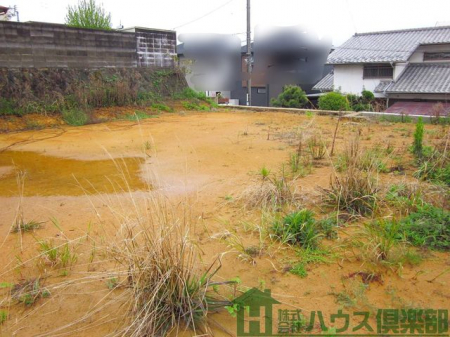 ���n�y�n�ʐ^�@-