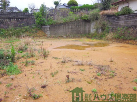 ���n�y�n�ʐ^�@-