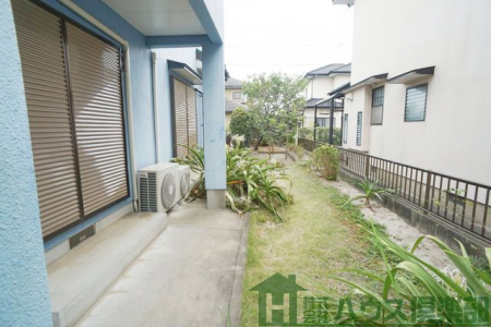���n�O�ώʐ^�@�����t���e���X���܂ނ���ł��I�L�������A���傤�ǂ悢�L���ł��I